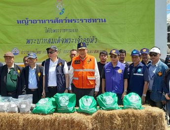 สิงห์บุรี – สมาชิกวุฒิสภา (สว.) ผนึกกำลัง ผู้ว่าราชการจังหวัดสิงห์บุรี ลงพื้นที่ 5 จุดเสี่ยง ช่วยผู้ประสบภัยน้ำท่วม พร้อมมอบ “หญ้าอาหารสัตว์พระราชทาน” บรรเทาทุกข์เกษตรกร