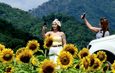 ลพบุรี เหลืองอร่ามบานสะพรั่งกลางหุบเขาทานตะวันปลายฝนต้นหนาวไร่จำรัส