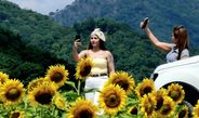 ลพบุรี เหลืองอร่ามบานสะพรั่งกลางหุบเขาทานตะวันปลายฝนต้นหนาวไร่จำรัส