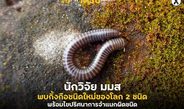 นักวิจัย มมส พบกิ้งกือชนิดใหม่ของโลก 2 ชนิด พร้อมไขปริศนาการจำแนกผิดชนิด