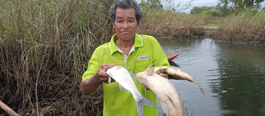 ปราจีนบุรี พบปลาตายจำนวนมากในแหล่งน้ำสาธารณะ หลังน้ำท่วมต่อเนื่องหลายวัน