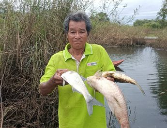 ปราจีนบุรี พบปลาตายจำนวนมากในแหล่งน้ำสาธารณะ หลังน้ำท่วมต่อเนื่องหลายวัน