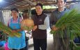 สกลนคร เปิดฤดูกาลผลิตข้าวเม่าแม่นกสูตรโบราณตำใหม่สดทุกวัน