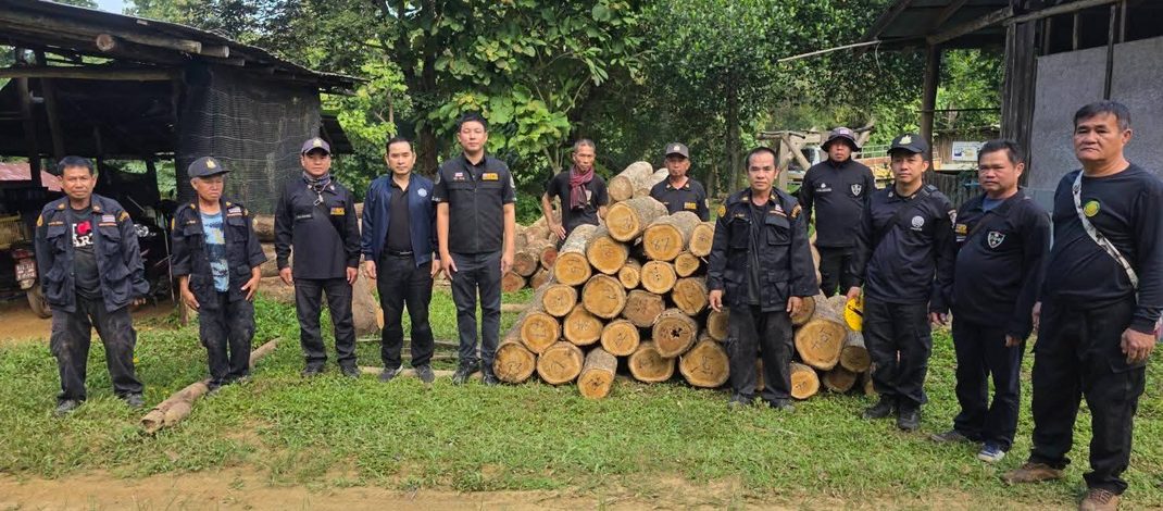 สพป.3.แพร่ “สั่งเข้ม” ให้ จนท.ตรวจยึดไมัท่อนในแปลงปลูกออป.สวนป่าเด่นชัย หลังมือดีลักลอบตัดและเตรียมขนย้าย