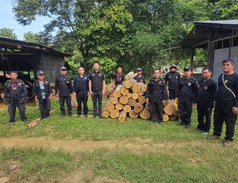 สพป.3.แพร่ “สั่งเข้ม” ให้ จนท.ตรวจยึดไมัท่อนในแปลงปลูกออป.สวนป่าเด่นชัย หลังมือดีลักลอบตัดและเตรียมขนย้าย