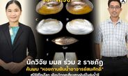 นักวิจัย มมส ร่วม 2 ราชภัฏ ค้นพบ “หอยกาบต้นน้ำอาจารย์สมศักดิ์” สปีชีส์ใหม่โลก เตือนวิกฤตเสี่ยงสูญพันธุ์ในลุ่มน้ำชี