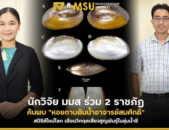 นักวิจัย มมส ร่วม 2 ราชภัฏ ค้นพบ “หอยกาบต้นน้ำอาจารย์สมศักดิ์” สปีชีส์ใหม่โลก เตือนวิกฤตเสี่ยงสูญพันธุ์ในลุ่มน้ำชี