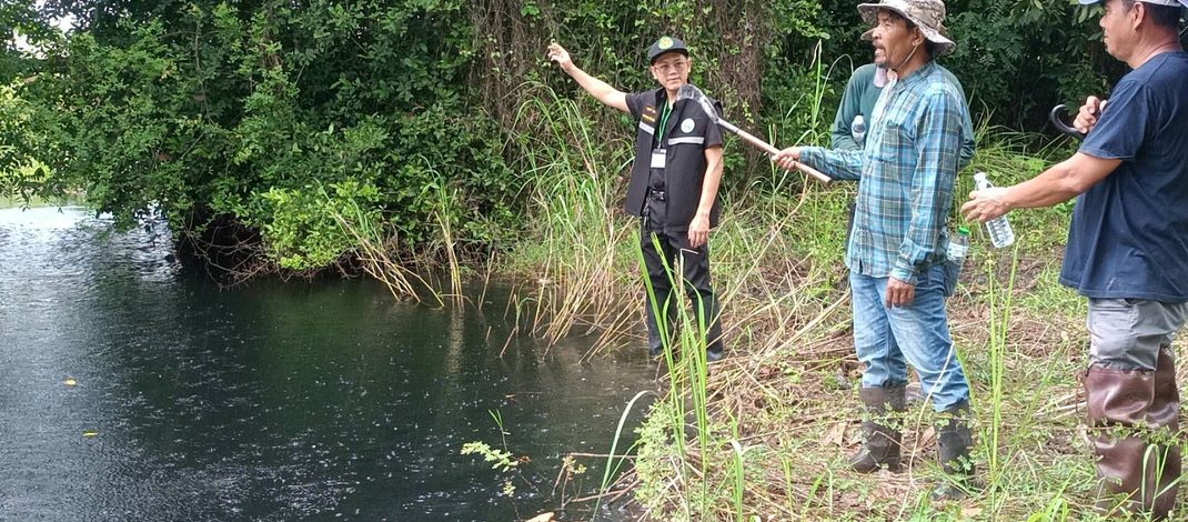 ปราจีนบุรี กลุ่มปราจีนเข้มแข็งตรวจสอบคราบน้ำมันสีรุ้งในนาข้าว
