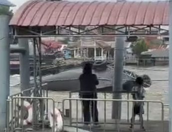 ระทึกกลางแม่น้ำป่าสัก! เรือลากจูงสินค้าอับปางหน้าวัดพนัญเชิงฯ คนขับเรือวัย 62 ปี แขนขวาหัก นักท่องเที่ยวเห็นเหตุการณ์ต่อหน้าต่อตา