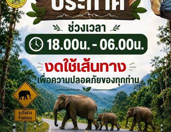 กาญจนบุรี : อช.ทองผาภูมิ เตือนระวังช้างป่า เส้นทาง 399 โค้ง มุ่งหน้าบ้านอีต่องแหล่งท่องเที่ยวชื่อดัง แนะ เวลา 18.00-06.00 น.งดเดินทาง หลังศาลเข้าพ่อเขายาวถูกทำลาย