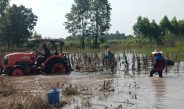ปราจีนบุรี ถนน304ผ่านได้แล้วชาวไร่มันถ่ายคลิปถอนมันหนีน้ำท่วม