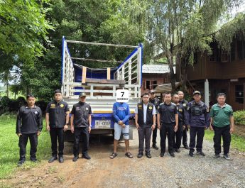 สจป.3 แพร่สั่งเข้ม ให้ชุดปฏิบัติการพิเศษป่าไม้ สจป.ที่ 3 แพร่ สนธิกำลังจับกุมผู้ต้องหา รถยนต์กระบะ พร้อมไม้มะค่าโมง ส่งดำเนินคดี