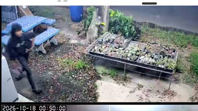 ปราจีนบุรี คลิปหนุ่มนิรนามบุกงัดตู้เครื่องซักผ้าหยอดเหรียญหน้าสำนักงานทนายความ
