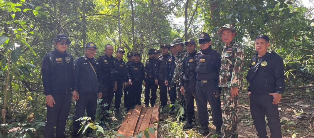 ปราบให้สิ้นซาก ! สจป.3 แพร่ “สั่งเข้ม” ให้จนท.ชุดปฏิบัติการพิเศษป่าไม้สจป.ที่ 3 สาขาแพร่ และจนท.หน่วยป้องกันรักษาป่าที่ นน.17 (นาหมื่น) บูรณาการร่วมกับ สน.บริหารพื้นที่อนุรักษ์ที่ 13 (แพร่) , จนท.อช.ขุนสถาน ตรวจยึดไม้ประดู่แปรรูป บ้านน้ำลีใต้ อ.นาหมื่นฯ